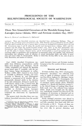 Three New Lissorchiid Cercariaea of the Mutabile Group from Laevapex Fuscus (Adams, 1841) and Ferrissia Rivularis (Say, 1917)1