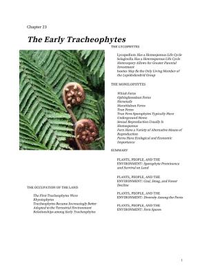 Chapter 23: the Early Tracheophytes
