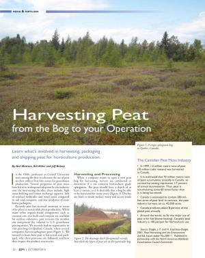 Harvesting Peat from the Bog to Your Operation