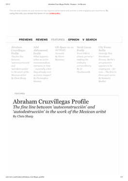 Abraham Cruzvillegas Pro.../ Features / Art Review