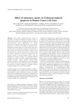Effect of Anticancer Agents on Codeinone-Induced Apoptosis in Human Cancer Cell Lines