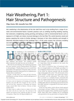 Hair Structure and Pathogenesis Filipa Osório, MD; Antonella Tosti, Phd