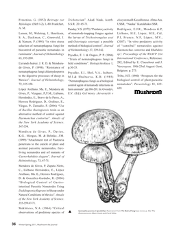 Gymnopilus Not Legal.Pdf