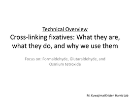 Cross-Linking Fixatives: What They Are, What They Do, and Why We Use Them