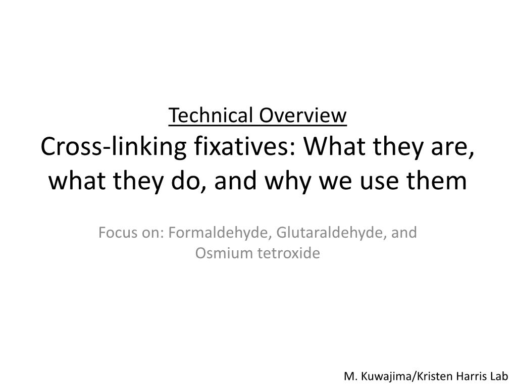 cross-linking-fixatives-what-they-are-what-they-do-and-why-we-use