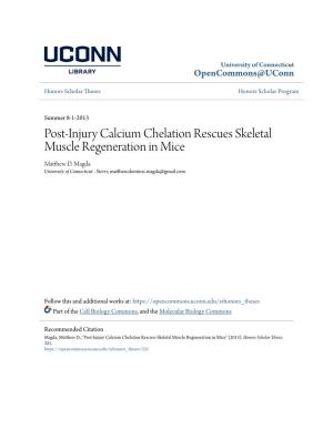 Post-Injury Calcium Chelation Rescues Skeletal Muscle Regeneration in Mice Matthew .D Magda University of Connecticut - Storrs, Matthew.Dominic.Magda@Gmail.Com