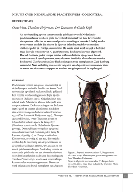 Coleoptera: Buprestidae)