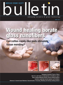 Wound Healing Borate Glass Nanofibers Can Cotton Candy-Like Pads Stimulate Tissue Mending?