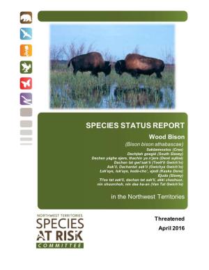Status Report and Assessment of Wood Bison in the NWT (2016)