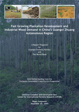Fast Growing Plantation Development and Industrial Wood Demand in China’S Guangxi Zhuang Autonomous Region