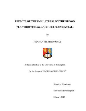 Effects of Thermal Stress on the Brown Planthopper Nilaparvata Lugens