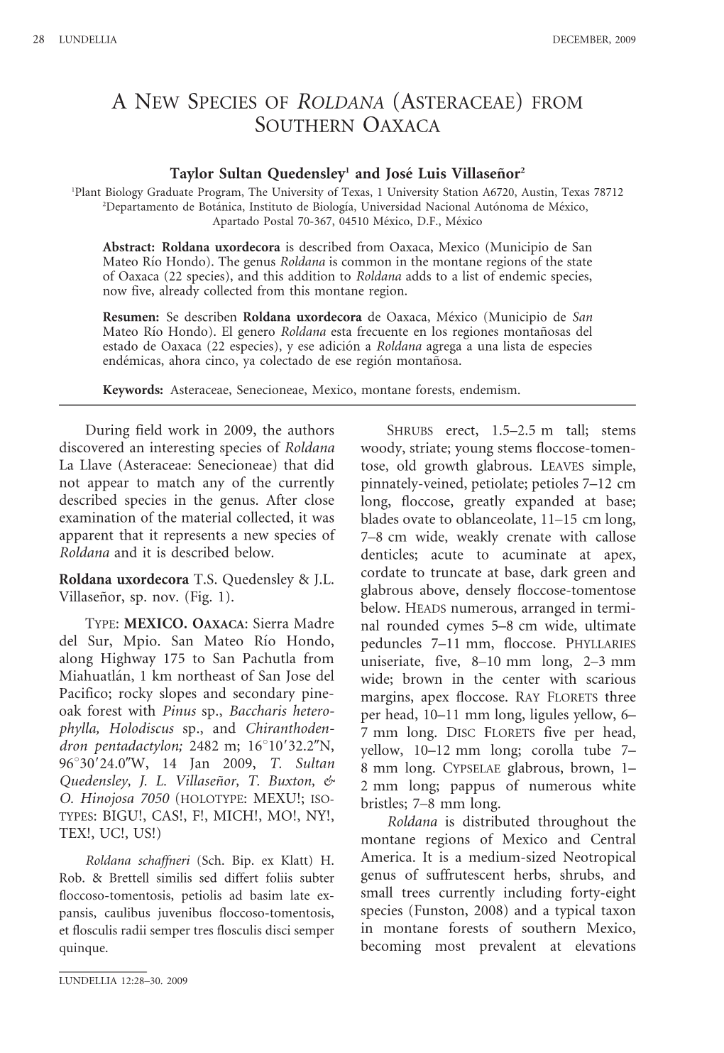 A New Species of Roldana (Asteraceae) From