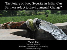 The Future of Food Security in India: Can Farmers Adapt to Environmental Change?