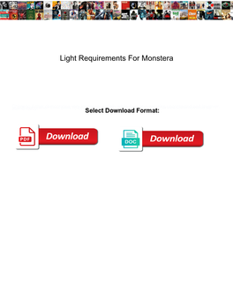 Light Requirements for Monstera