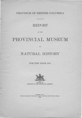 Provincial Museum