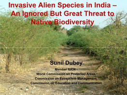 Invasive Alien Species in India – an Ignored but Great Threat to Native Biodiversity