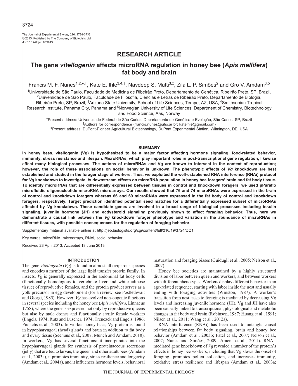 RESEARCH ARTICLE the Gene Vitellogenin Affects Microrna Regulation in Honey Bee (Apis Mellifera) Fat Body and Brain