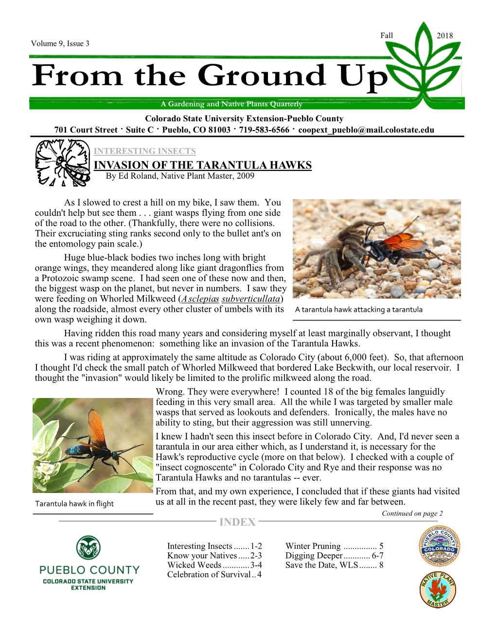 Invasion of the Tarantula Hawks Index