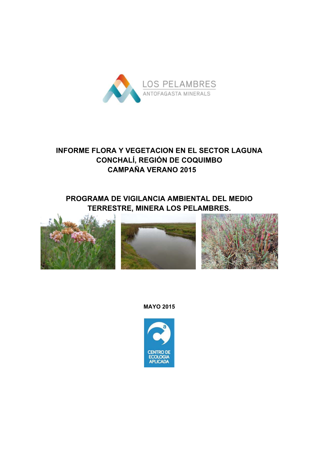 Informe Flora Y Vegetacion En El Sector Laguna Conchalí, Región De Coquimbo Campaña Verano 2015 Programa De Vigilancia Ambien