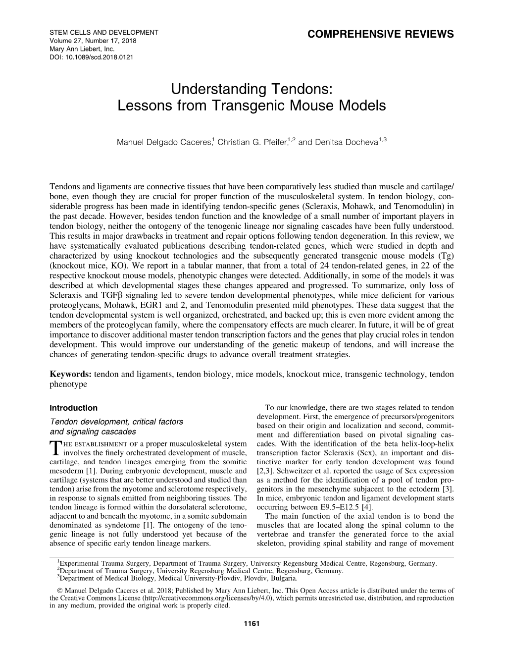 Understanding Tendons: Lessons from Transgenic Mouse Models