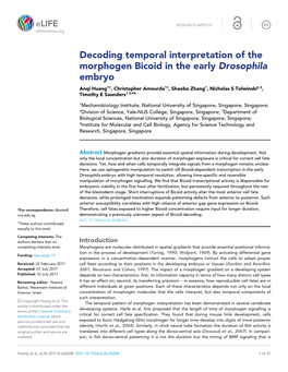 Decoding Temporal Interpretation of the Morphogen Bicoid in the Early
