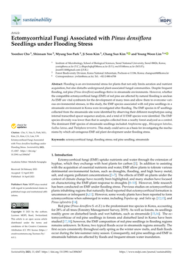 Ectomycorrhizal Fungi Associated with Pinus Densiflora Seedlings Under