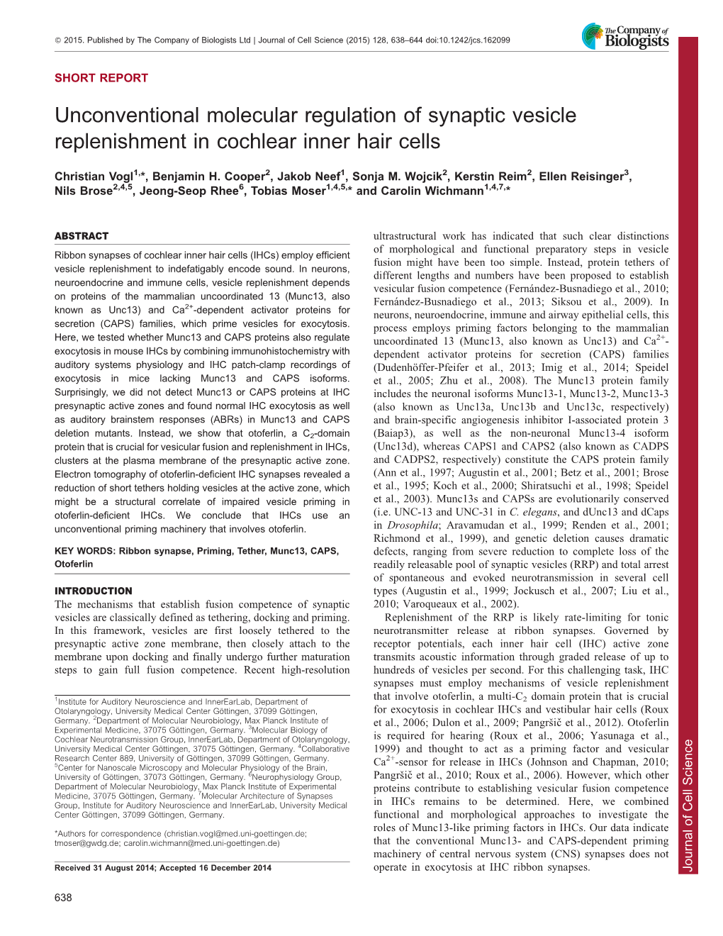 Unconventional Molecular Regulation of Synaptic Vesicle Replenishment In