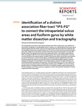 Identification of a Distinct Association Fiber Tract “IPS-FG” to Connect The