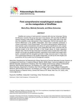 First Comprehensive Morphological Analysis on the Metapodials of Giraffidae