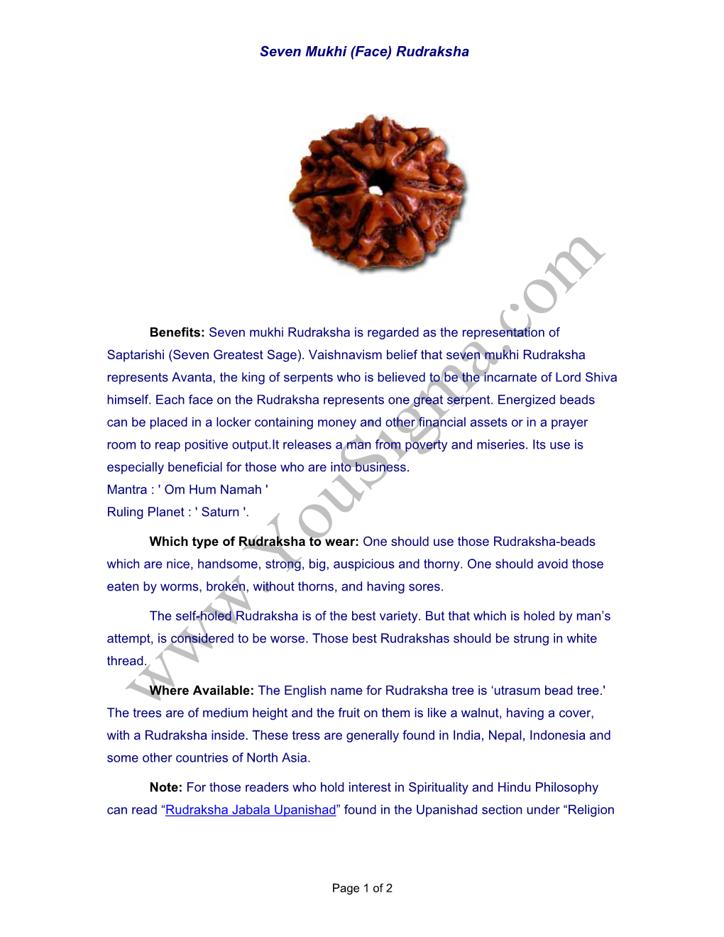 Seven Mukhi (Face) Rudraksha