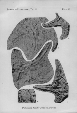 Durham and Roberts, Cretaceous Asteroids CRETACEOUS ASTEROIDS from CALIFORNIA 437