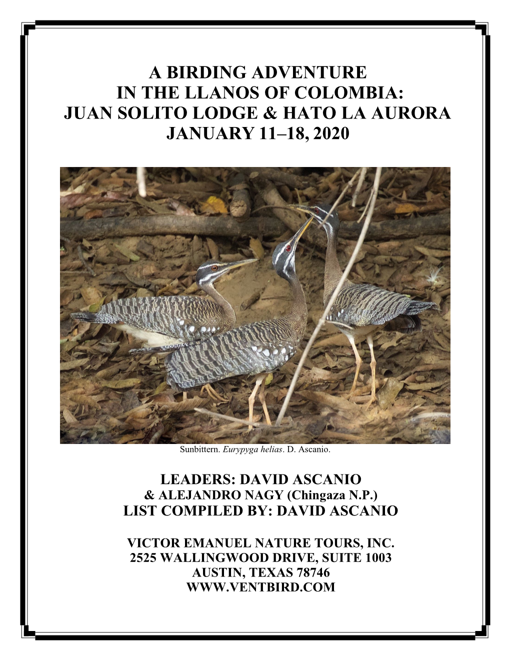A Birding Adventure in the Llanos of Colombia: Juan Solito Lodge & Hato La Aurora January 11–18, 2020
