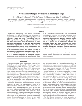 Mechanism of Tongue Protraction in Microhylid Frogs Jay J