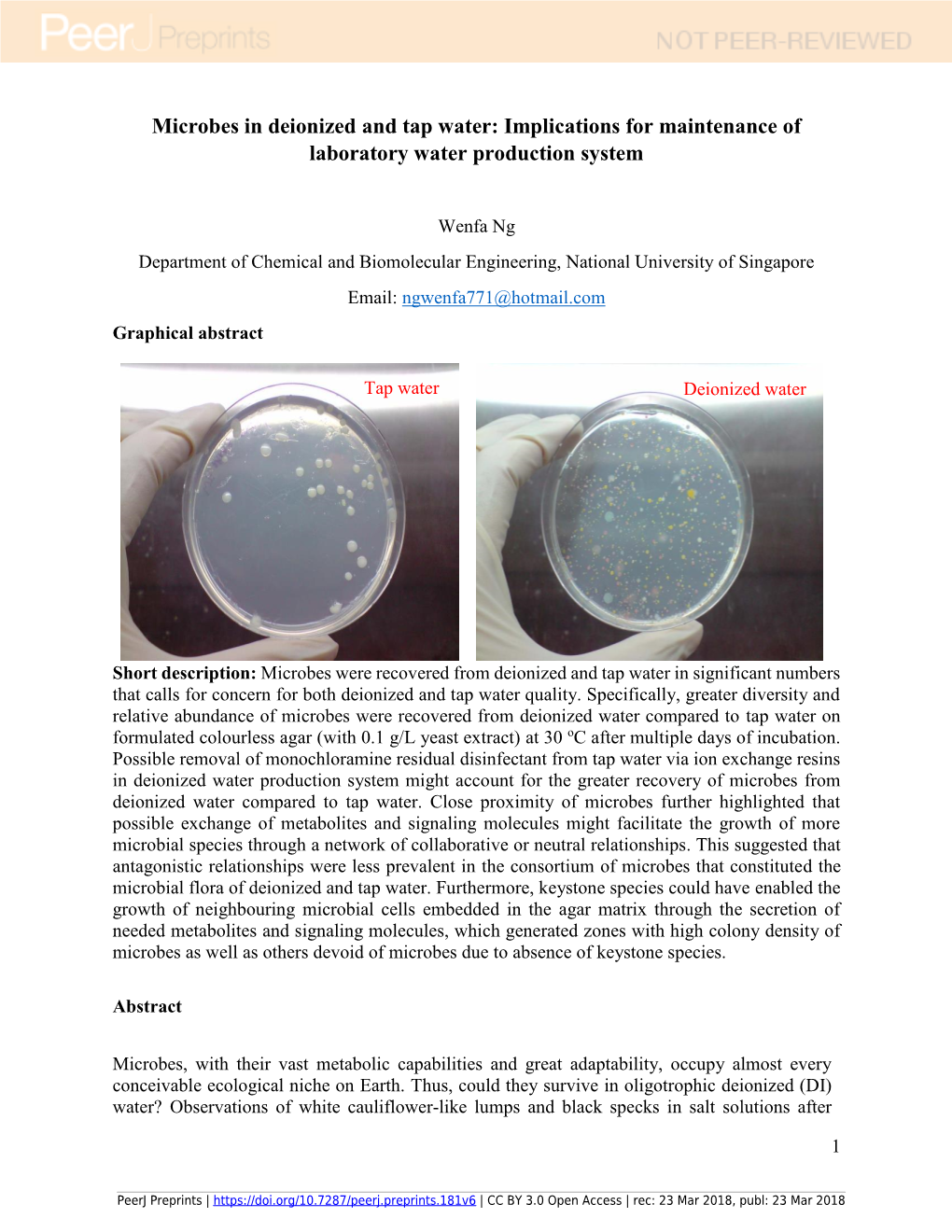 Microbes in Deionized and Tap Water: Implications for Maintenance of Laboratory Water Production System