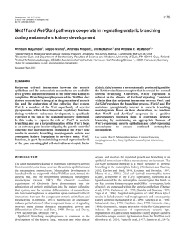 Wnt11 and Ret/Gdnf Pathways Cooperate in Regulating Ureteric Branching During Metanephric Kidney Development