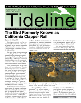 California Clapper Rail: Bird Formerly Known As