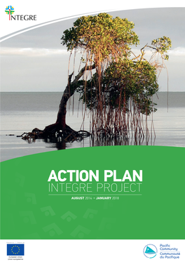 The INTEGRE Project Action Plan