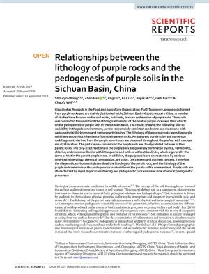 Relationships Between the Lithology of Purple Rocks and the Pedogenesis