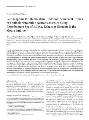 Fate-Mapping the Mammalian Hindbrain