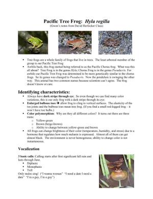 Pacific Tree Frog: Hyla Regilla (Gwen’S Notes from David Herlocker Class)