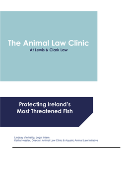 Protecting Ireland's Most Threatened Fish