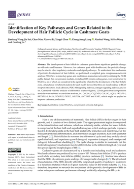 Identification of Key Pathways and Genes Related to the Development of Hair Follicle Cycle in Cashmere Goats