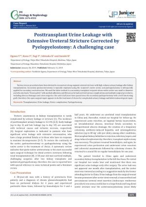 Posttransplant Urine Leakage with Extensive Ureteral Stricture Corrected by Pyelopyelostomy: a Challenging Case