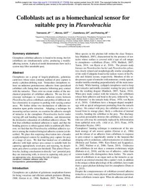 Colloblasts Act As a Biomechanical Sensor for Suitable Prey in Pleurobrachia