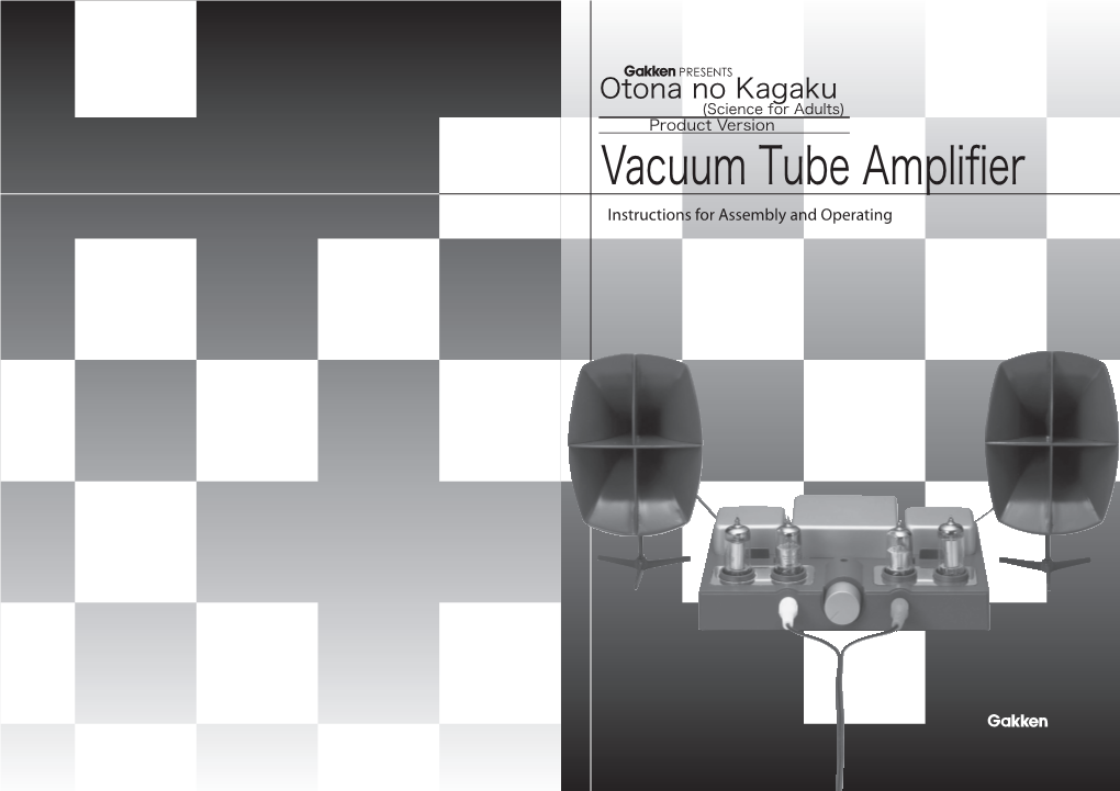 Vacuum Tube Amplifier