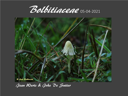Bolbitiaceae 05-04-2021