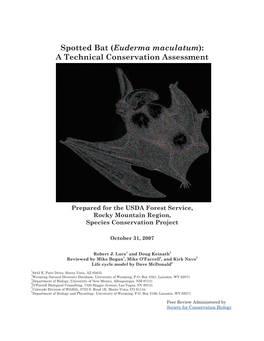 Spotted Bat (Euderma Maculatum): a Technical Conservation Assessment