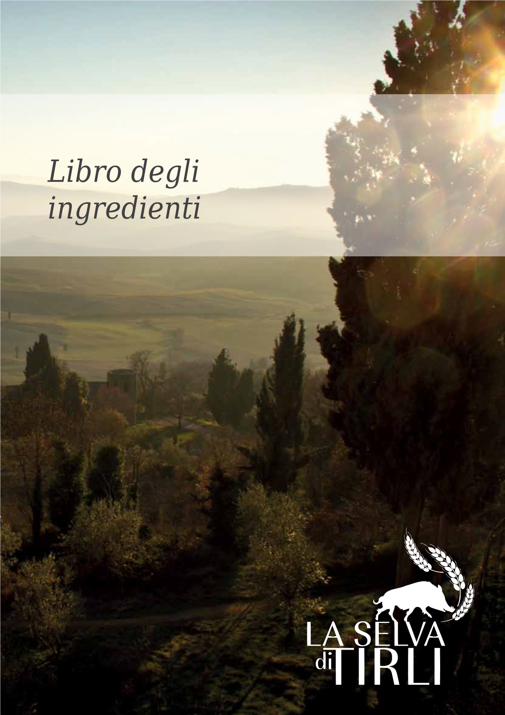 Libro Degli Ingredienti