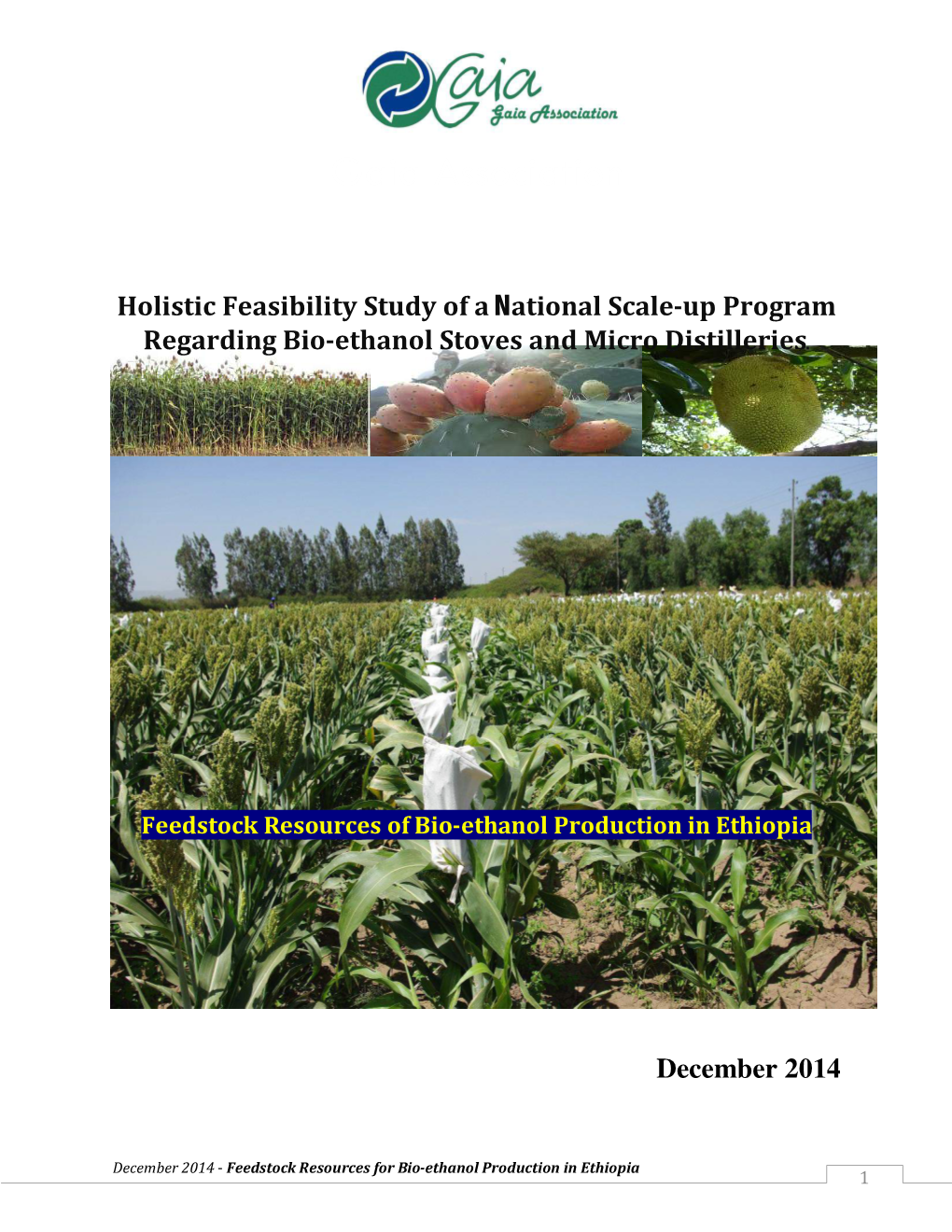 Feedstock Resources of Bio-Ethanol Production in Ethiopia
