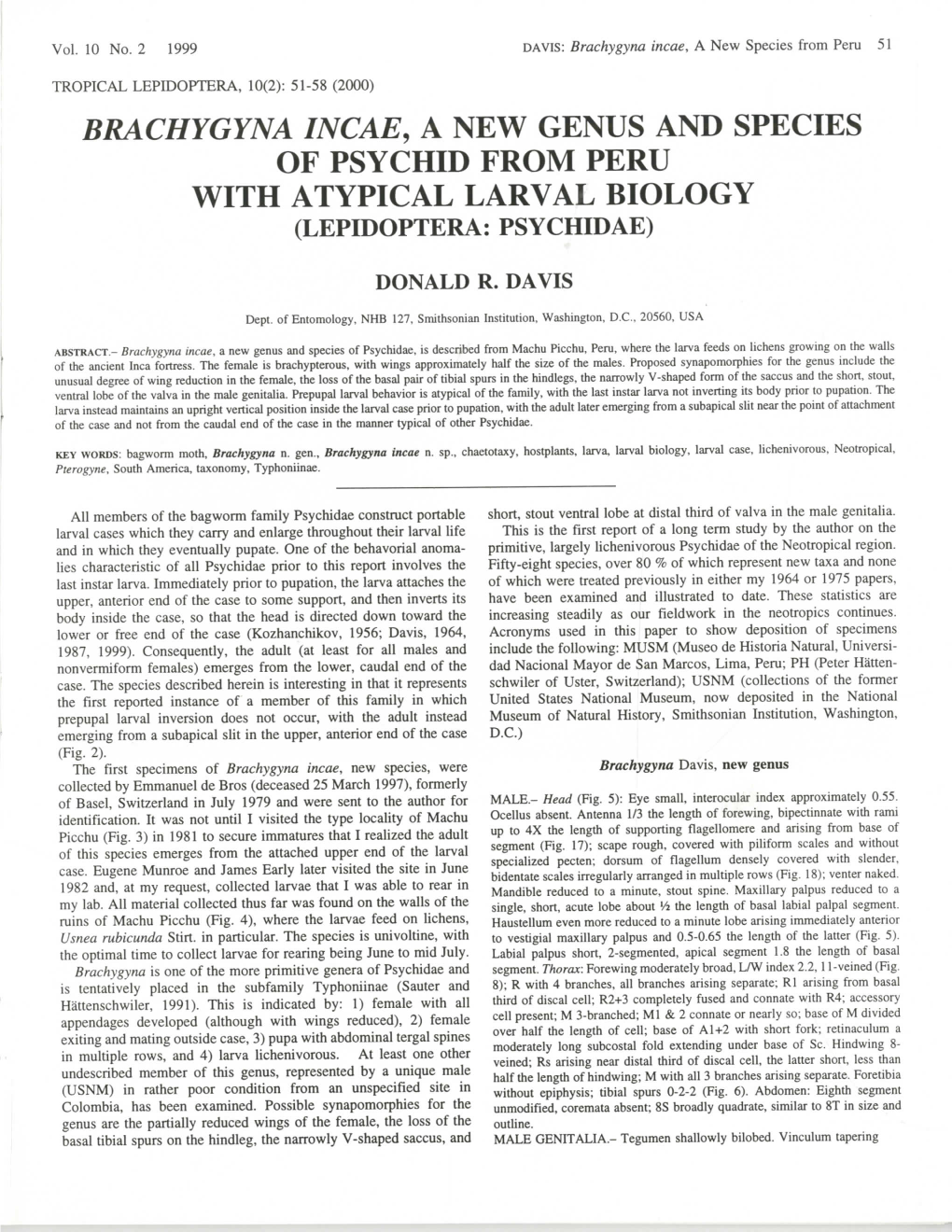 Brachygyna Incae, a New Genus and Species of Psychid from Peru with Atypical Larval Biology (Lepidoptera: Psychidae)